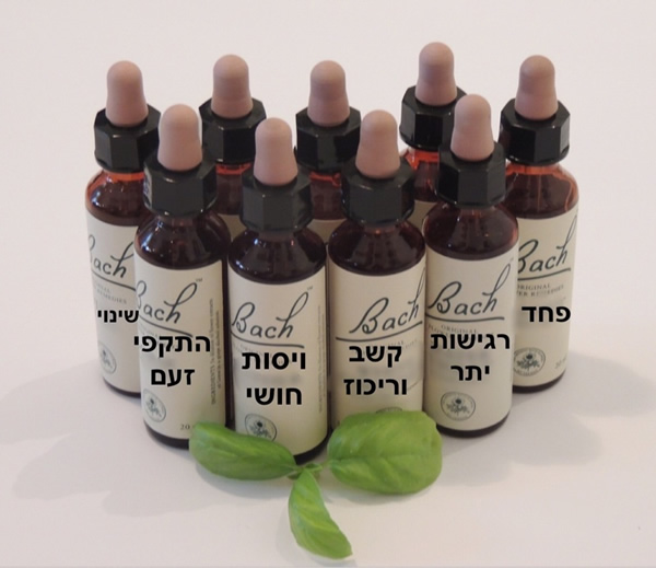 טיפול בתמציות פרחי באך בירושלים